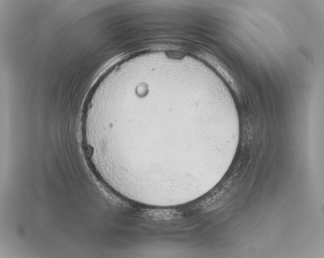 X0000115780853200912111126