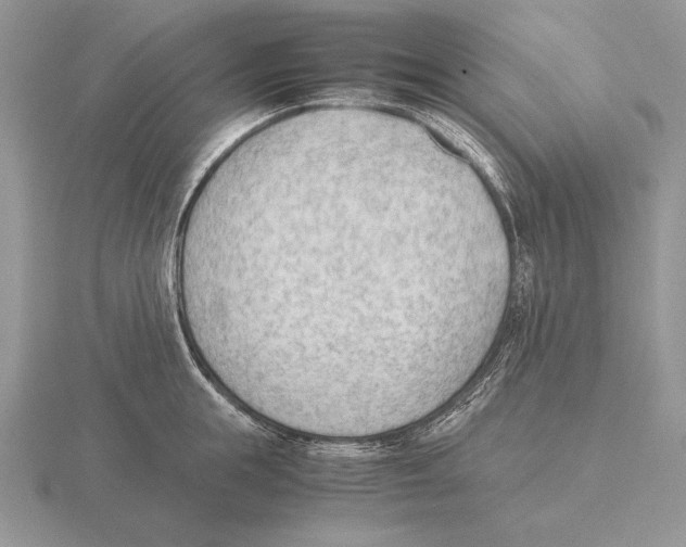 X0000115780855200912111126