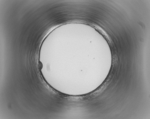 X0000115780860200912111126