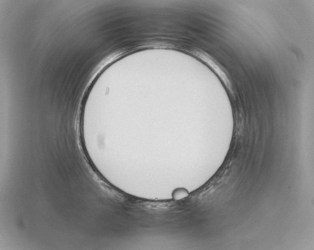 X0000115780861200912111126