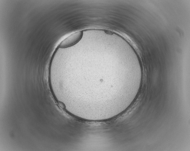 X0000115780862200912111126