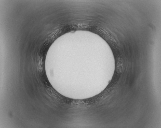 X0000115780866200912111125