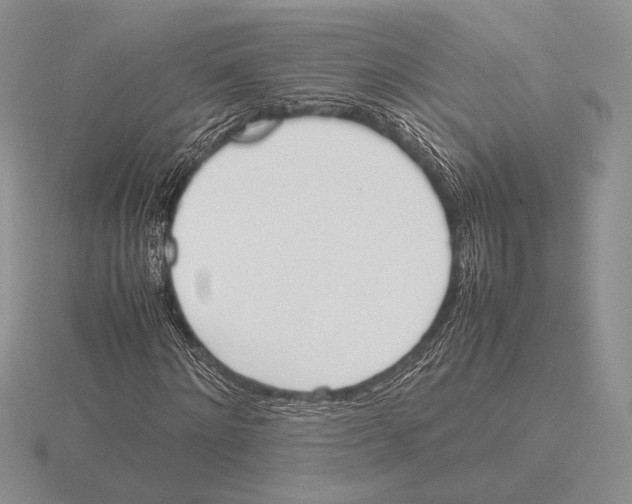 X0000115780868200912111125