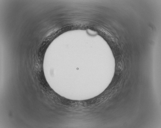 X0000115780869200912111125