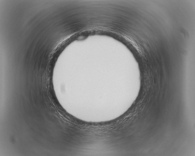 X0000115780872200912111125