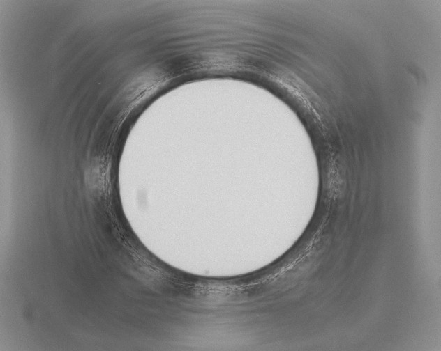 X0000115780873200912111125