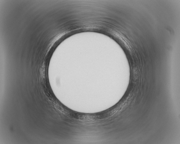 X0000115780875200912111125