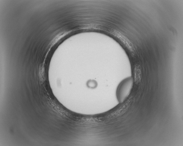 X0000115780876200912111125