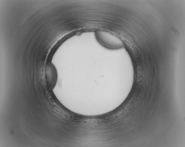 X0000115780880200912111125