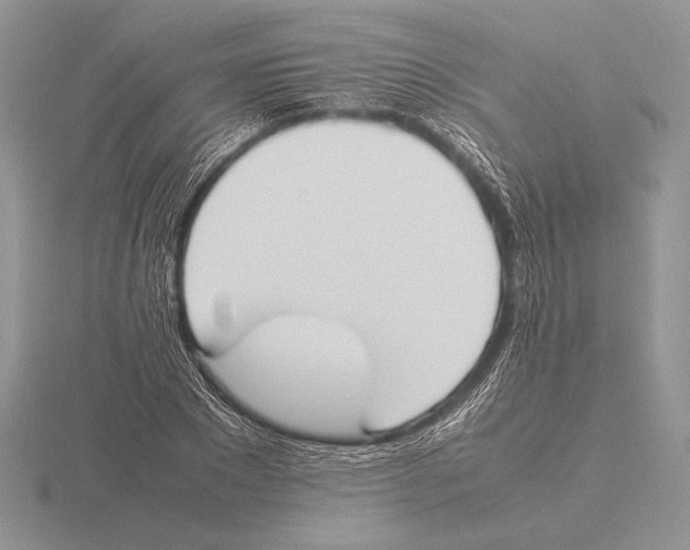 X0000115780881200912111125