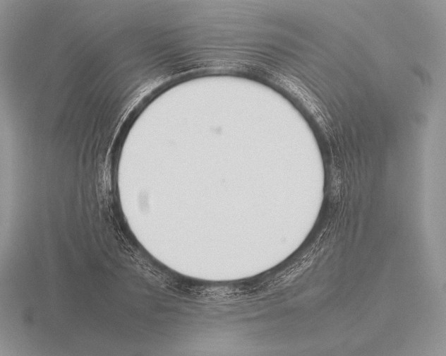 X0000115780883200912111125