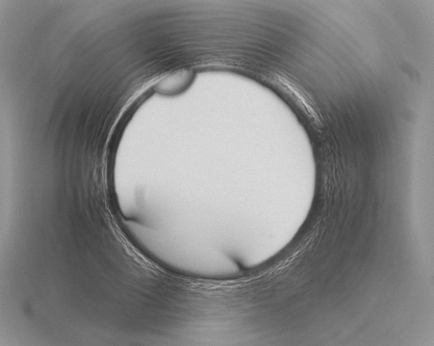 X0000115780884200912111125