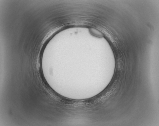 X0000115780885200912111125