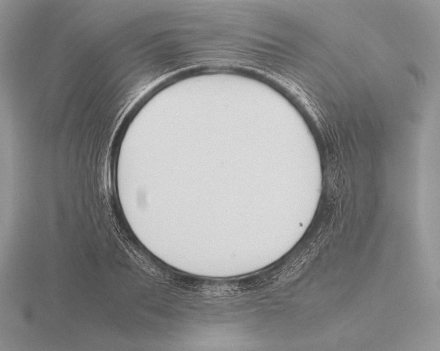 X0000115780887200912111125