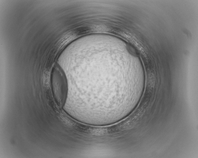 X0000115780889200912111125