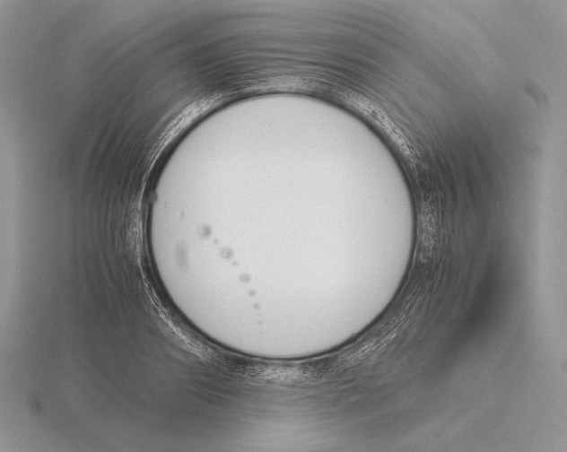 X0000115780890200912111125