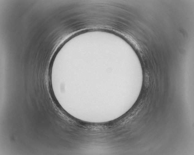 X0000115780895200912111125