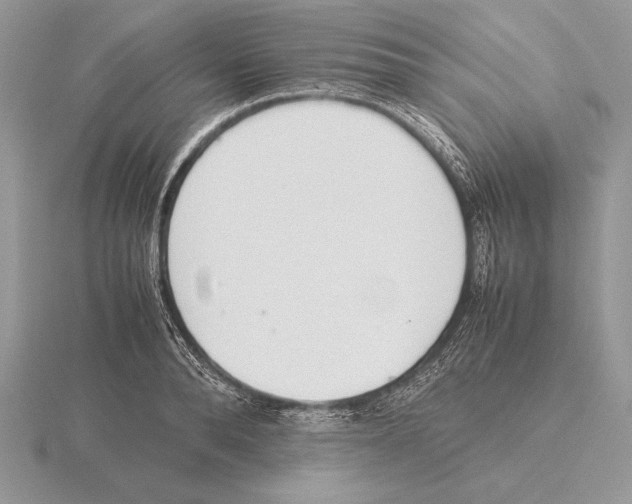 X0000115780896200912111125