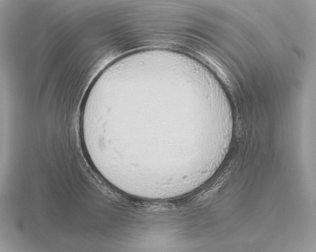 X0000115780899200912111124