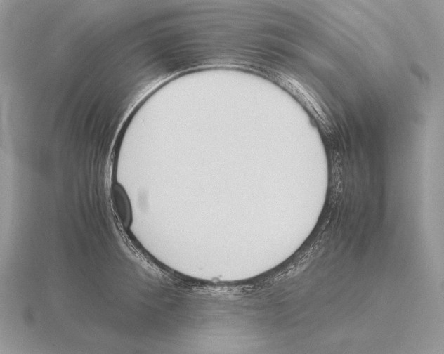 X0000115780900200912111124