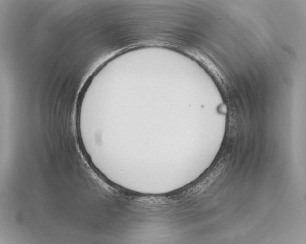 X0000115780902200912111124