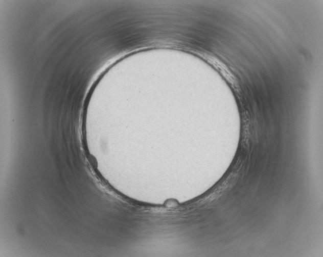 X0000115780904200912111124