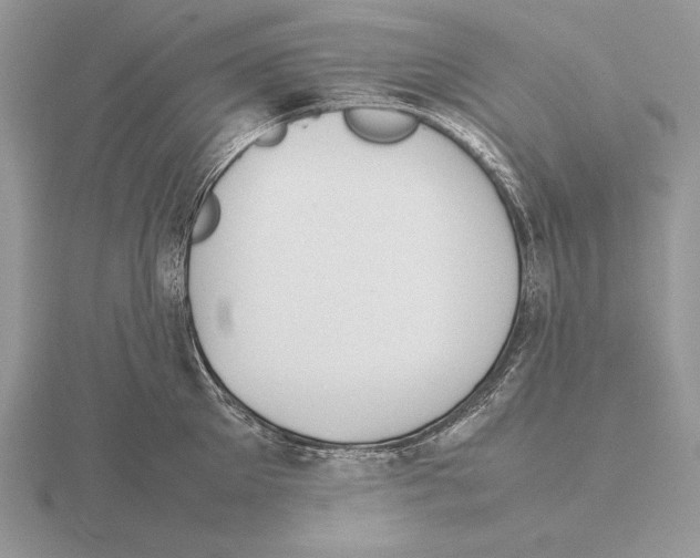 X0000115780905200912111124