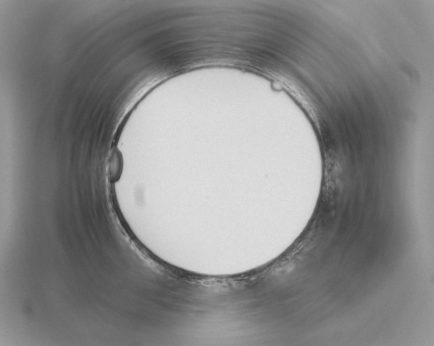 X0000115780906200912111124