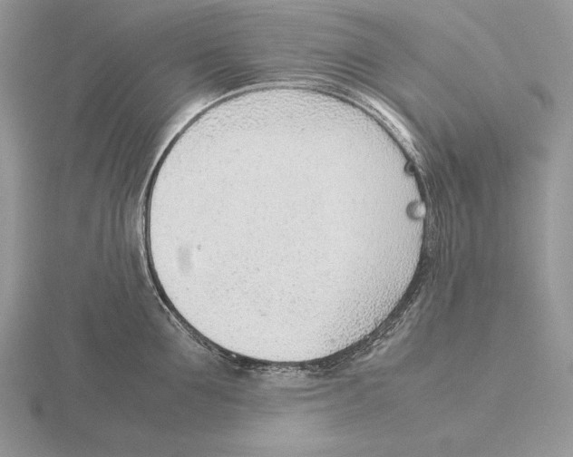 X0000115780907200912111124