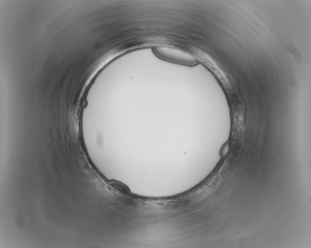 X0000115780908200912111124