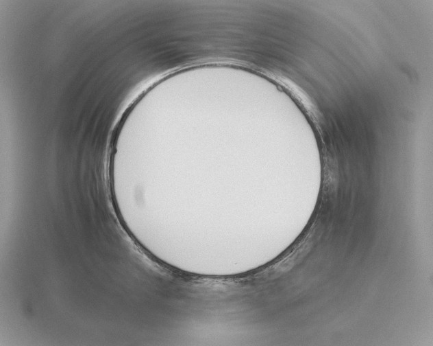 X0000115780910200912111124