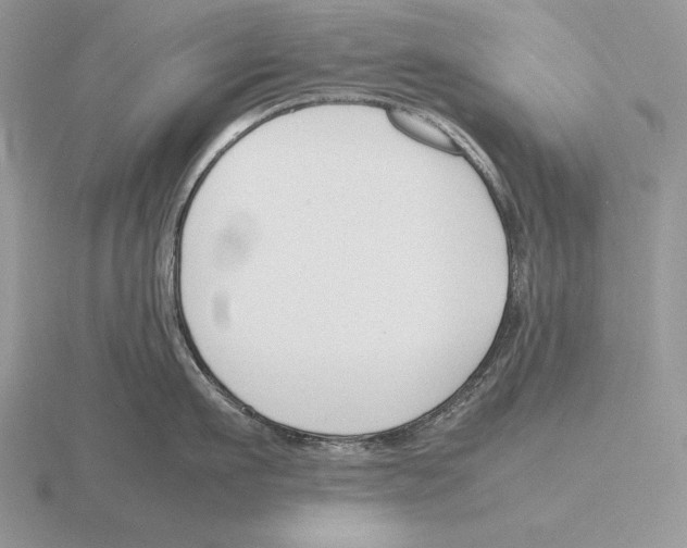 X0000115780911200912111124