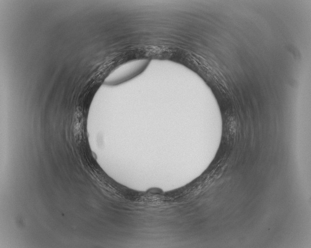 X0000115780914200912111124