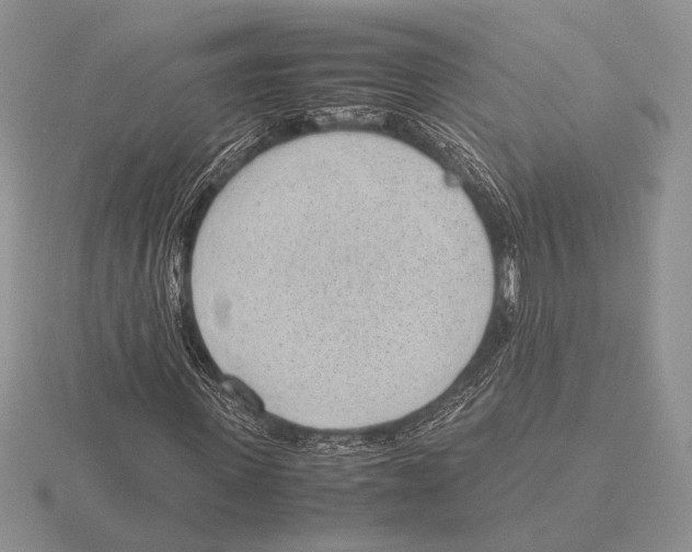 X0000115780915200912111124