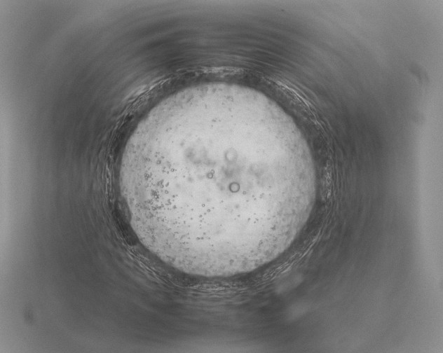 X0000115780917200912111124