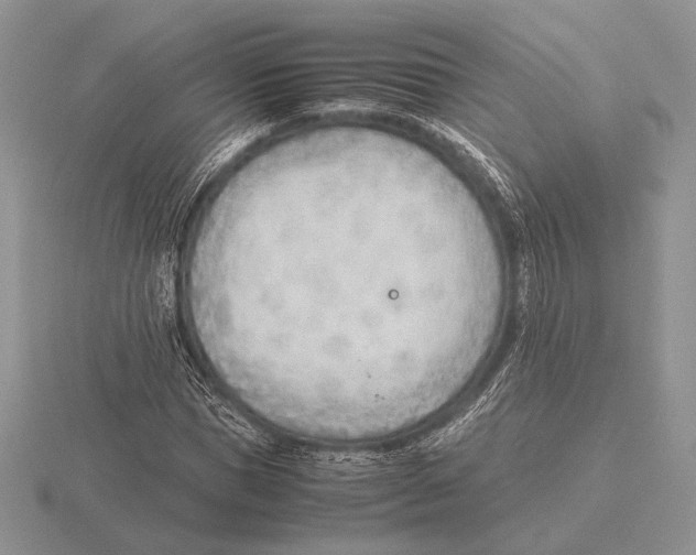 X0000115780921200912111124