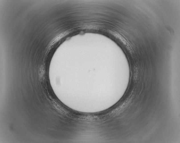 X0000115780922200912111124