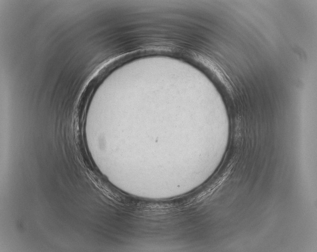 X0000115780923200912111124