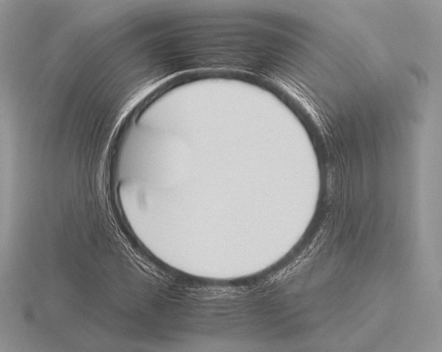 X0000115780925200912111124