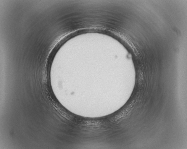 X0000115780927200912111124