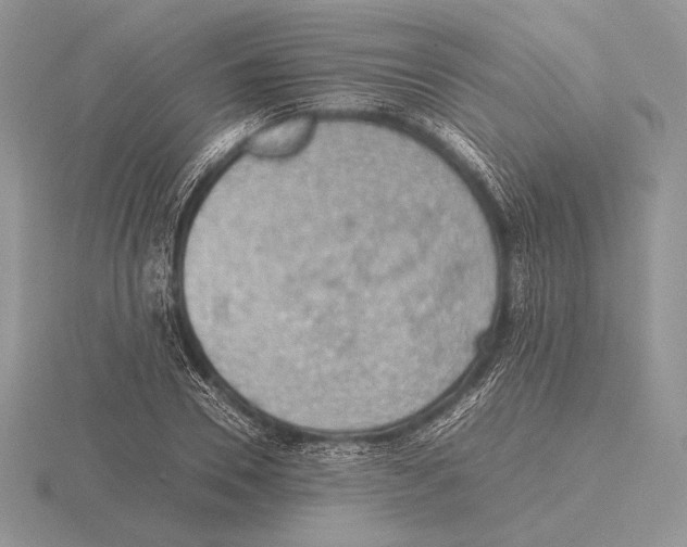 X0000115780930200912111124