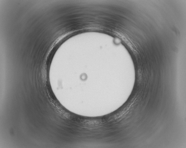 X0000115780931200912111124