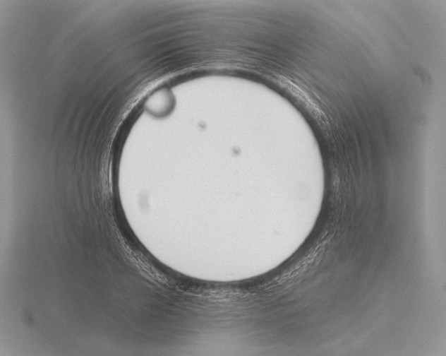 X0000115780934200912111124