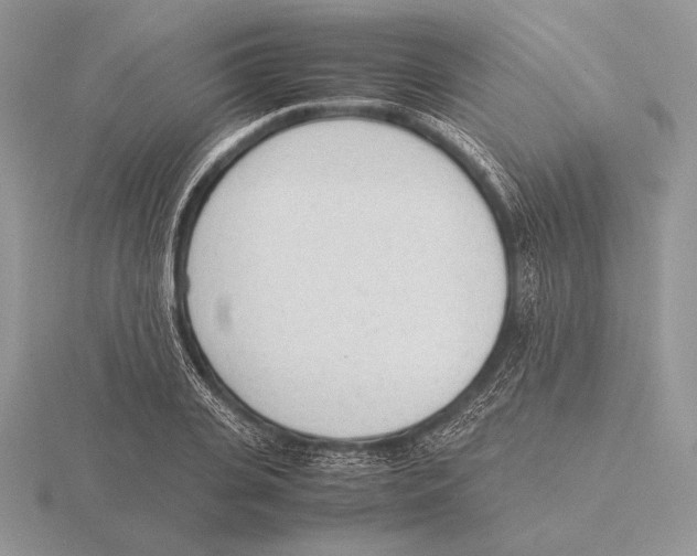 X0000115780935200912111124