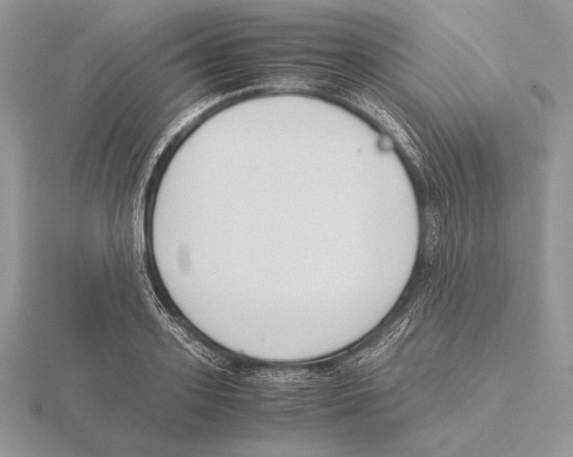 X0000115780939200912111124