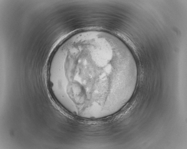 X0000115780941200912111124