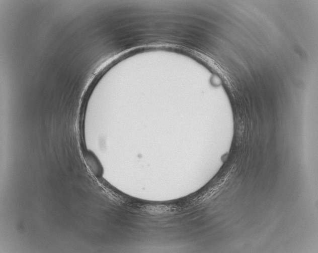 X0000115780943200912111124