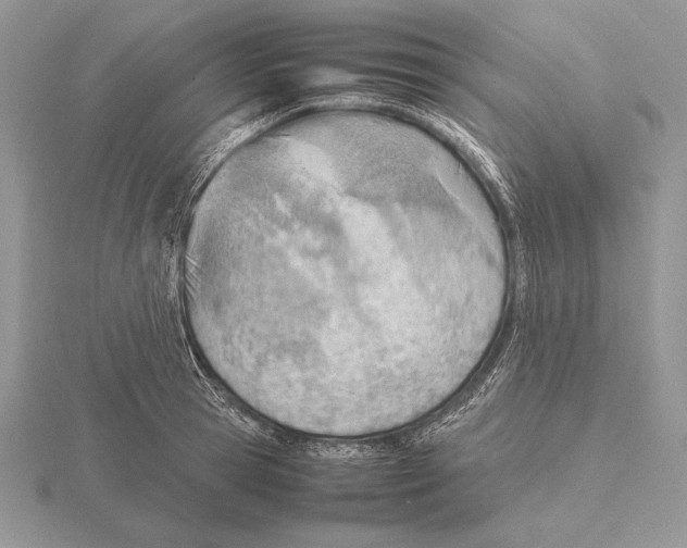 X0000115780945200912111124