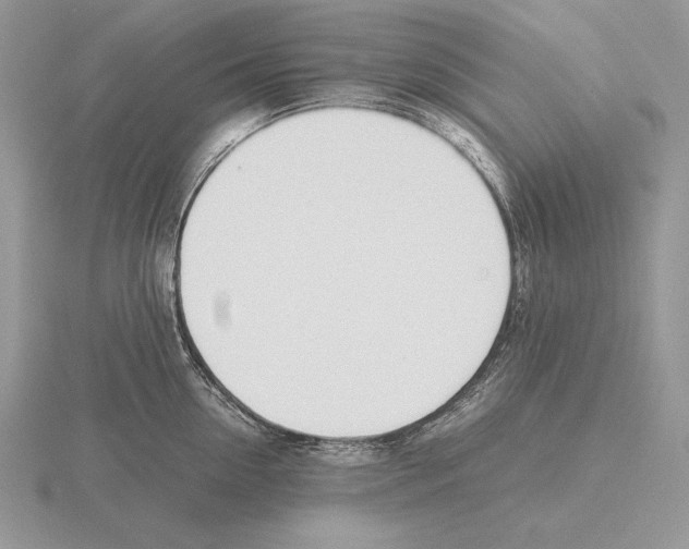 X0000115780954200912111124