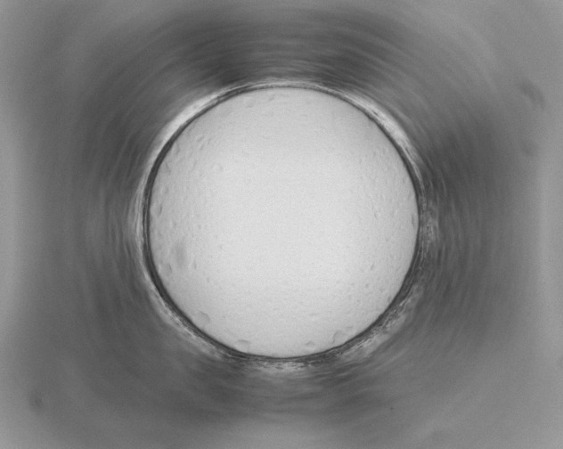 X0000115780957200912111124